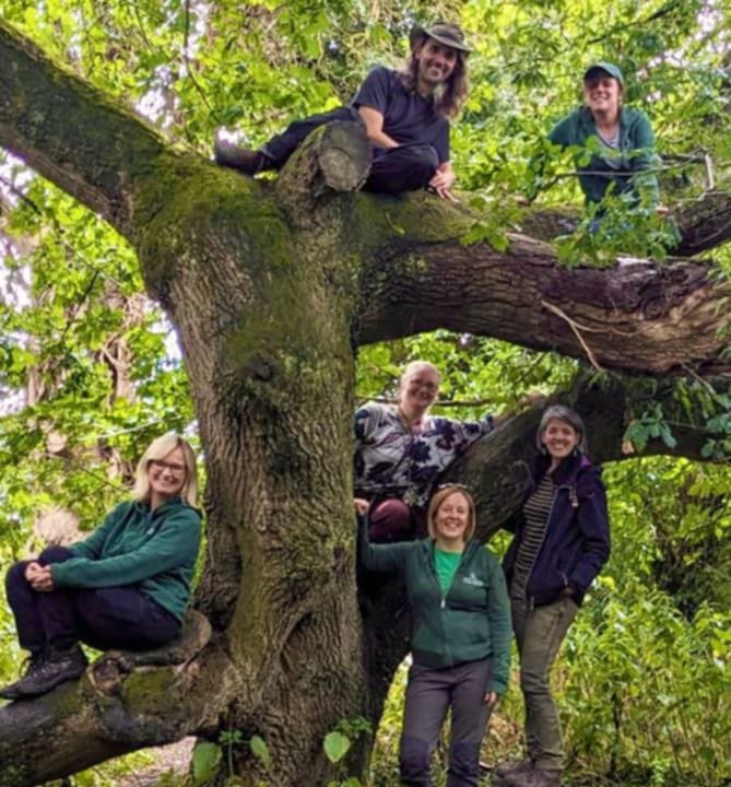 The Nature of Learning Forest School team gathered up in a large woodland tree