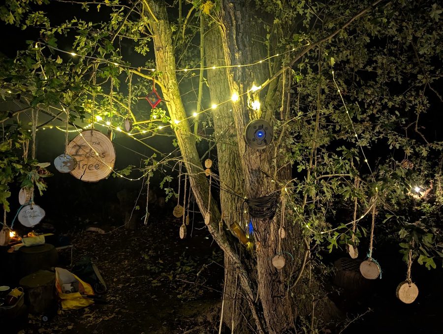 The Ideas Tree, hung with wooden discs and fairy lights